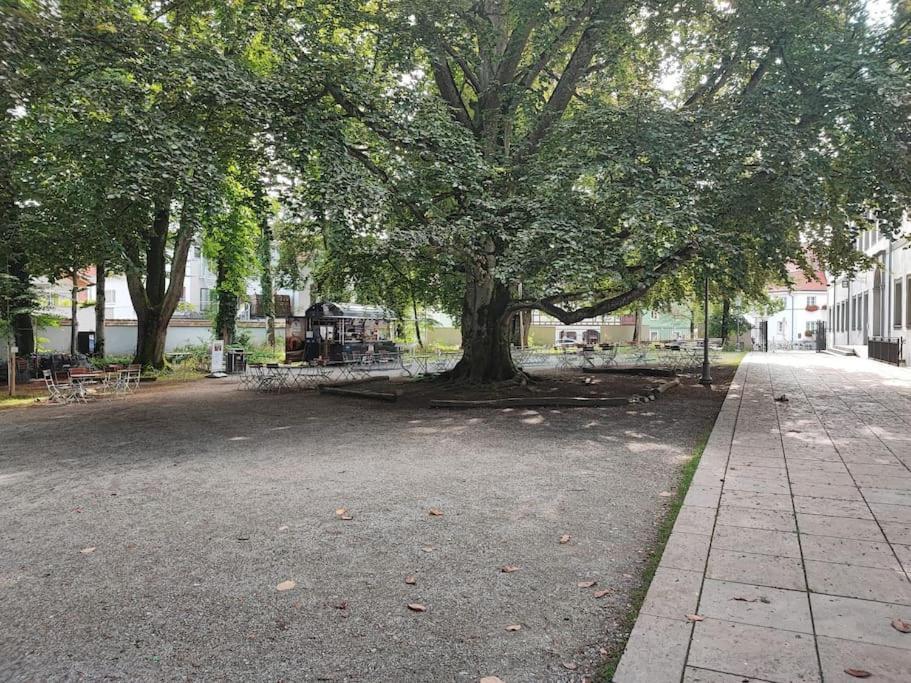 -Stadthaus Ida- Mit Grosser Dachterasse, Am Schlosspark, Luftkurort Kisslegg, Boxspringbetten, Kaffeevollautomat, Smarttv, Familienfreundlich, Grosszuegig, Zentral Extérieur photo