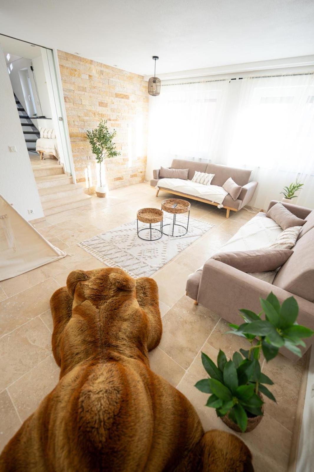 -Stadthaus Ida- Mit Grosser Dachterasse, Am Schlosspark, Luftkurort Kisslegg, Boxspringbetten, Kaffeevollautomat, Smarttv, Familienfreundlich, Grosszuegig, Zentral Extérieur photo