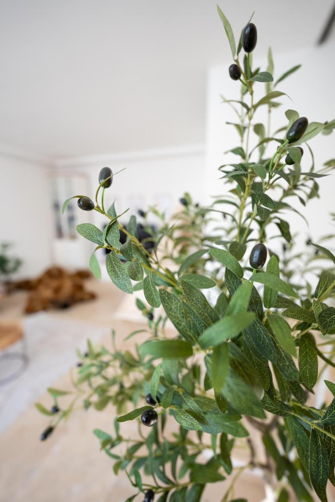 -Stadthaus Ida- Mit Grosser Dachterasse, Am Schlosspark, Luftkurort Kisslegg, Boxspringbetten, Kaffeevollautomat, Smarttv, Familienfreundlich, Grosszuegig, Zentral Extérieur photo